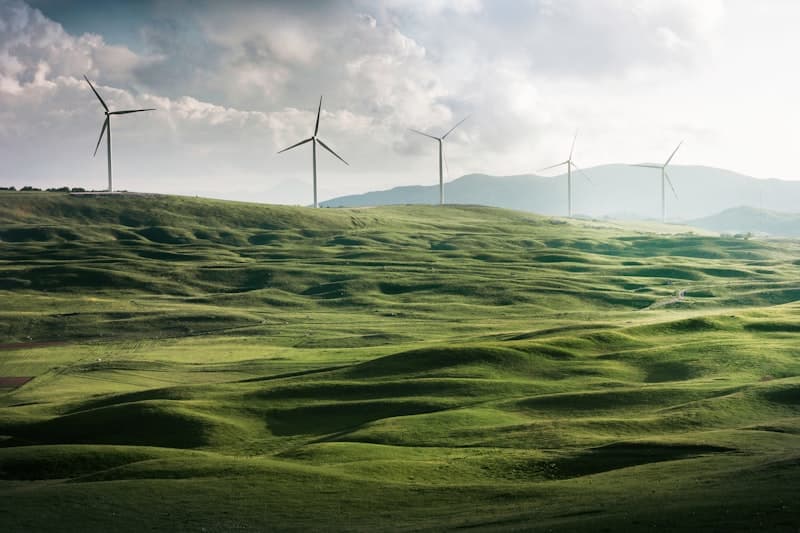 Decarbonization Pathways Analysis